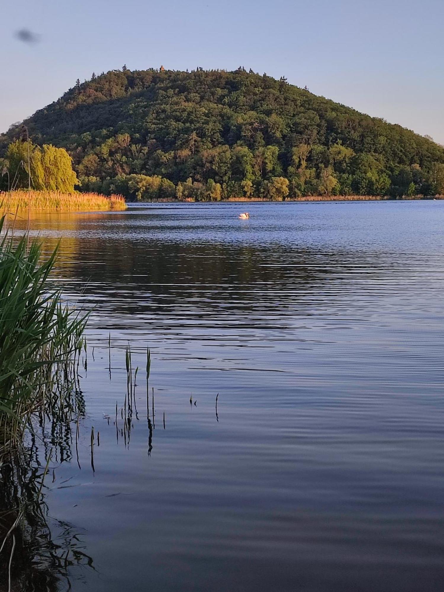 Ferienhaus Richard Eschwege Dış mekan fotoğraf