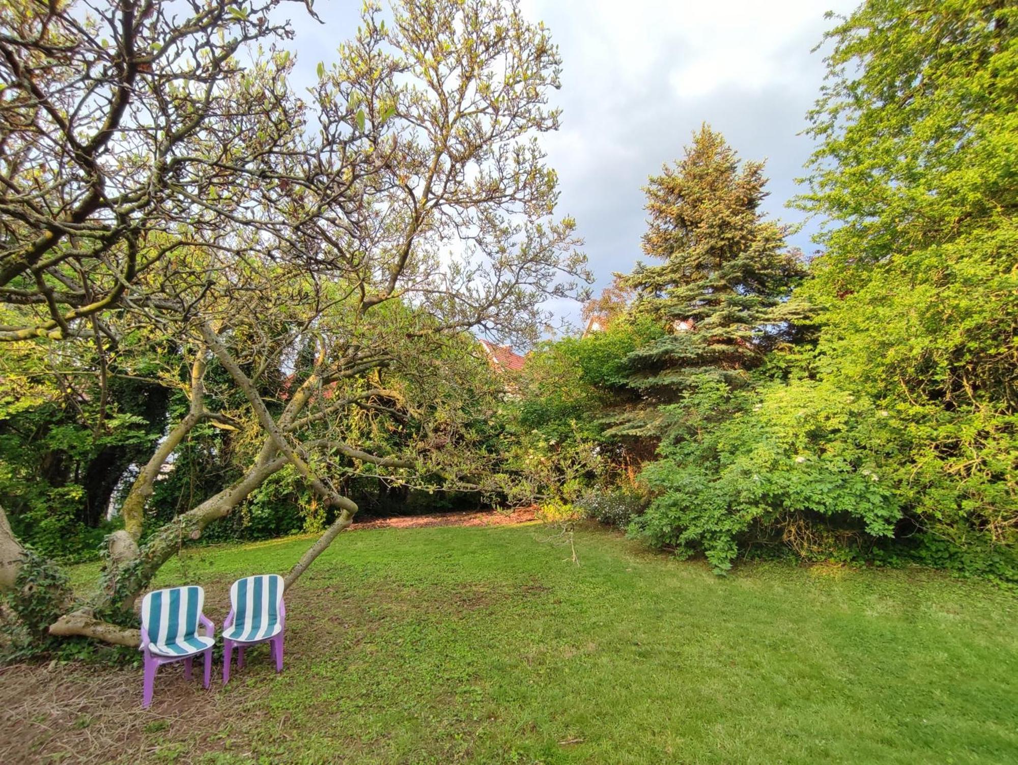 Ferienhaus Richard Eschwege Dış mekan fotoğraf