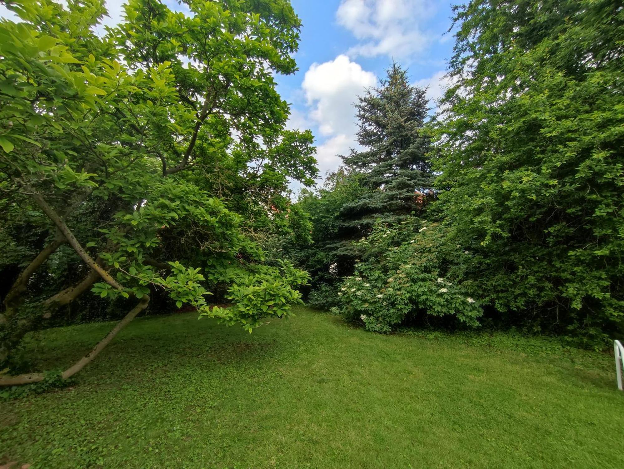Ferienhaus Richard Eschwege Dış mekan fotoğraf
