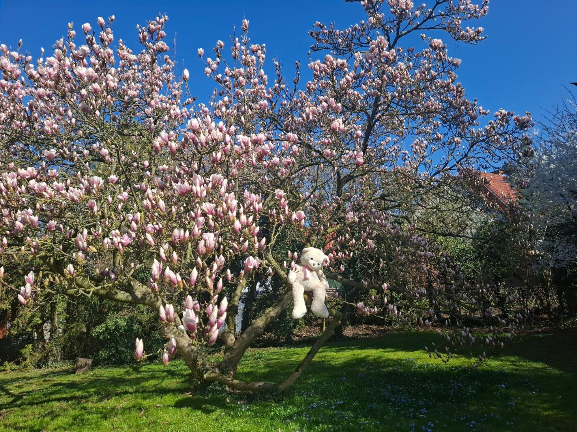 Ferienhaus Richard Eschwege Dış mekan fotoğraf
